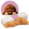 Dog Macarons - Count of 6 (Dog Treats | Dog Gifts) - Raspberry