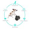 PawPartner Dog Tumbler Interactive Toys Increases Pet IQ Slow Feeder Labrador French Bulldog Swing Training Food Dispenser - Black - China