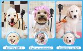 Pet Dog Dog Grooming Table Lanyard Cats And Dogs Bathing Fixer Pet Haircut Trim Blow Dry Traction Rope - MFURF05F