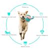 Dog Soccer Ball Interactive Pet Toys Foldable Ball Molar Toy Outdoor Training Ball for Puppy Dog Chew Dog Accessories - Green