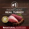 Purina One True Instinct Turkey and Venison Dry Dog Food 36 lb Bag - Purina ONE