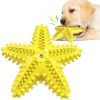 Sea Star Shaped Dog Toothbrush with Sound Pet Teeth Grinding Toy Dog Sound Toy - A - CN