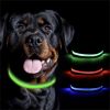 Blinking Flashing Pets Safety LED Adjustable Dog Collar  - Blue - Pet supplies