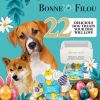 Easter-Spring Themed Dog Treats Gift Box - 22 treats