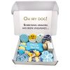 Easter-Spring Themed Dog Treats Gift Box - 22 treats