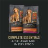 Purina Pro Plan Slices in Gravy Wet Dog Food for Adult Dogs Beef 13 oz Cans (12 Pack) - Purina Pro Plan