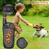 Electric Dog Training Collar Rechargeable Receiver Beep Vibration Shock - Black