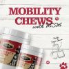 Dr. Pol Mobility Chews with MSM - Glucosamine for Dogs 100 Count - Dr. Pol