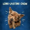 Purina Busy Long Lasting Chews for Dogs, 21 oz Pouch - Busy