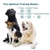 Rechargeable Color Screen Dog Training Device Bark Collar for Dogs  - White - Training Device