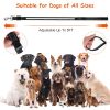 5FT Light Up Dog Leash LED Dog Leash Dog Walking Leash with 9 Light Colors IPX7 Waterproof USB Rechargeable - Black