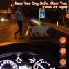 5FT Light Up Dog Leash LED Dog Leash Dog Walking Leash with 9 Light Colors IPX7 Waterproof USB Rechargeable - Black