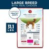 Purina ONE Plus Large Breed Adult Dog Food Dry Formula - Purina ONE