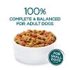 Purina Beneful Incredibites for Small Dogs Dry Dog Food Farm Raised Beef 10 lb Bag - Purina Beneful