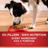 Purina ONE Dry Dog Food Lamb and Rice Formula - Purina ONE